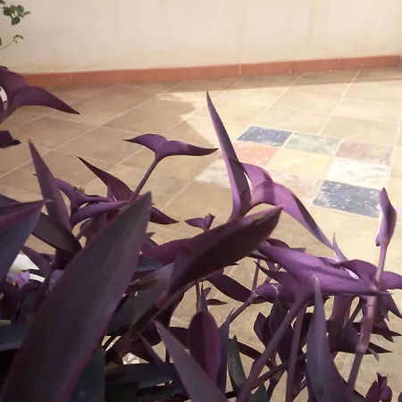 Al Centro Storico Panzió 4*