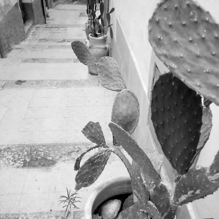 Al Centro Storico Panzió Agrigento