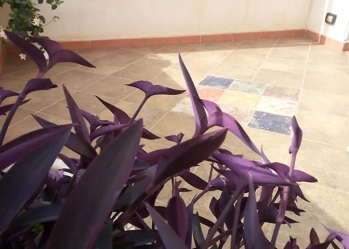 Al Centro Storico فندق مبيت وإفطار 4*