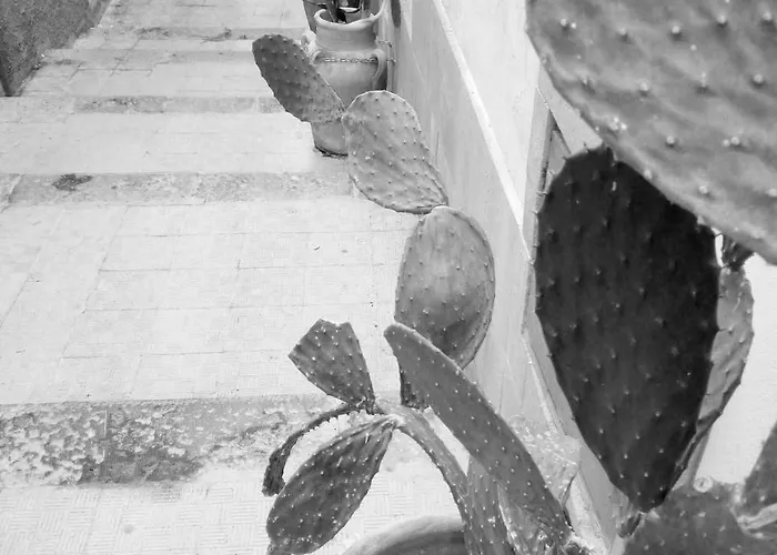 Al Centro Storico Bed & Breakfast Agrigento